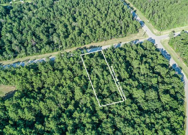 Property at 68 Coyote Run, Willis, TX 77378