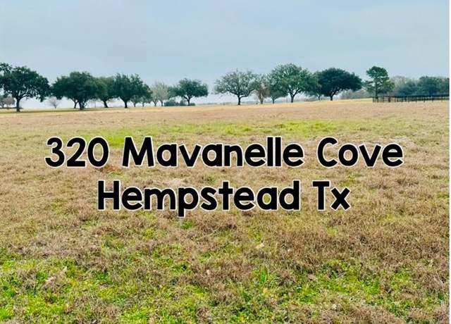 Property at 320 Mavanelle Cv, Hempstead, TX 77445