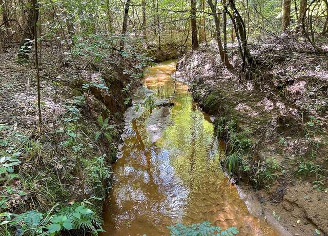 Property at TBD Highway 21, San Augustine, TX 75972