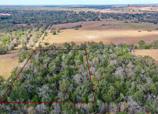 Property at Lot 1 County Rd 229, Bedias, TX 77831