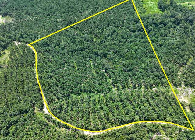 Property at 0 Slim Palmer Rd, Zavalla, TX 75980