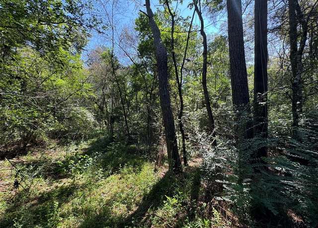 Property at 7795-00-10300 Assessor's Parcel Number 7795-00-10300, New Caney, TX 77357