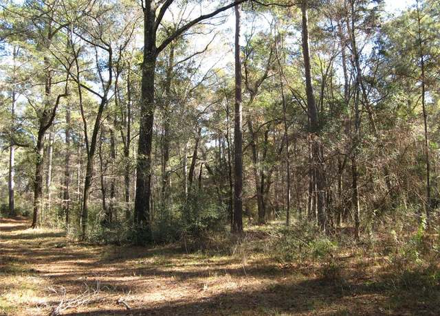 Property at 0 TBD Beef Rd, Groveton, TX 75845