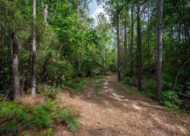 Property at 430 Private Rd 7766, Colmesneil, TX 75938