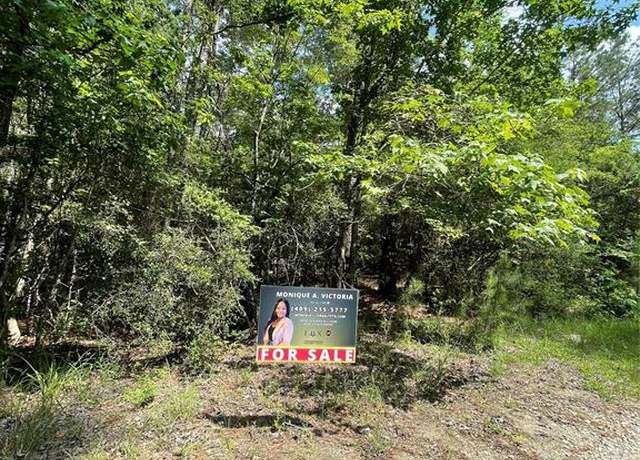 Property at TBD Sassafras Dr, Brookeland, TX 75931