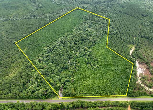 Property at 0 Fm 2939, Newton, TX 75966