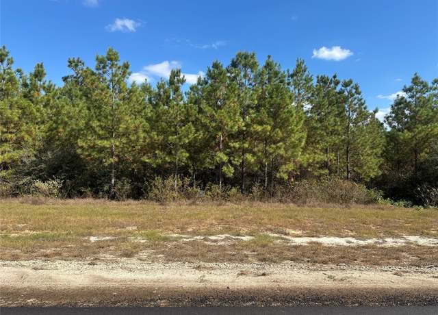 Property at 16307 Ridge Oak Rd, Willis, TX 77378