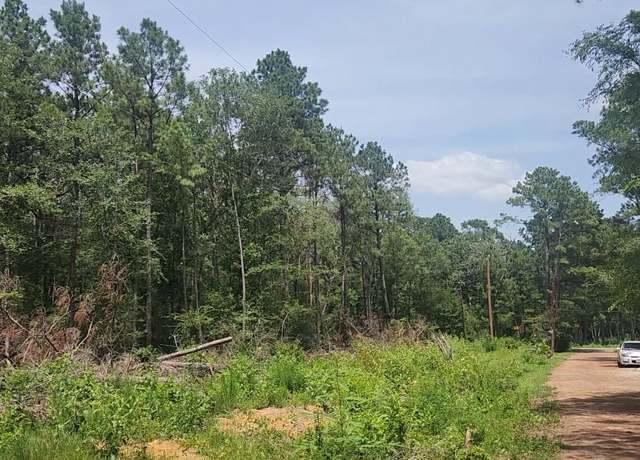 Property at Lot 28 Honey Locust Ln, Plantersville, TX 77363