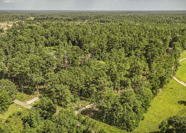 Property at TBD Cr 1520, Warren, TX 77664