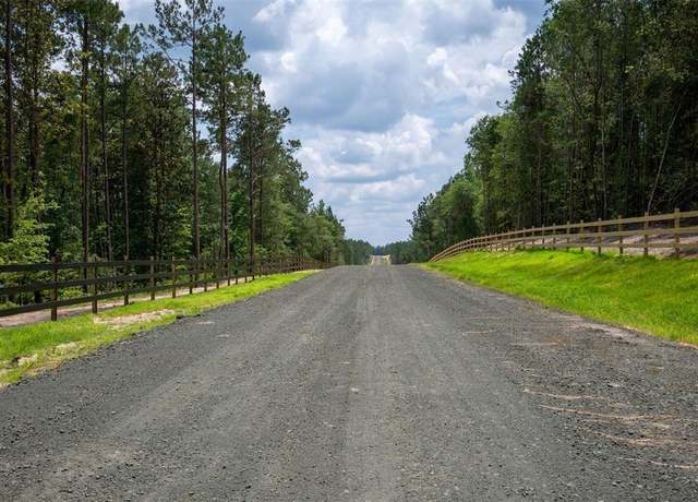 Property at Tract 10 Timberland Branch Dr, Woodville, TX 75979
