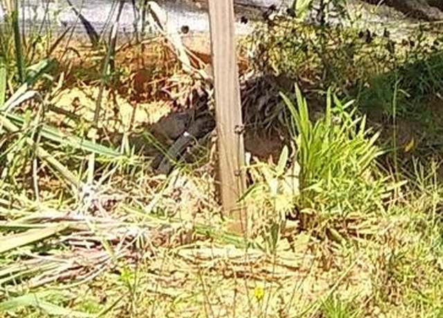 Property at 65 Coyote Run Rd, New Waverly, TX 77358