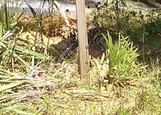 Property at 65 Coyote Run Rd, New Waverly, TX 77358