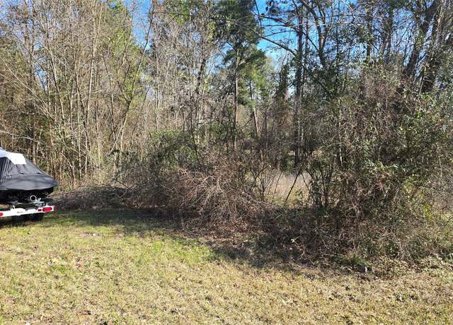 Property at 0 Plum Tree Cir, Livingston, TX 77351