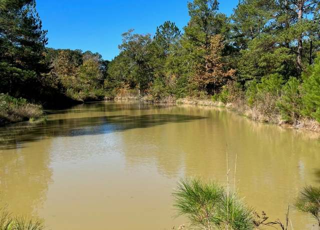Property at 31517 Bohlssen Rd, New Caney, TX 77357