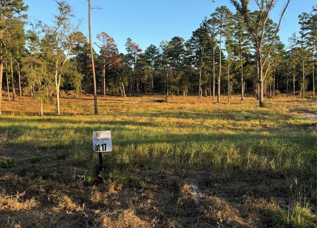 Property at 17 County Road 147, Centerville, TX 75833