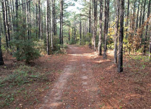 Property at 350 Williamson Way, Lovelady, TX 75851