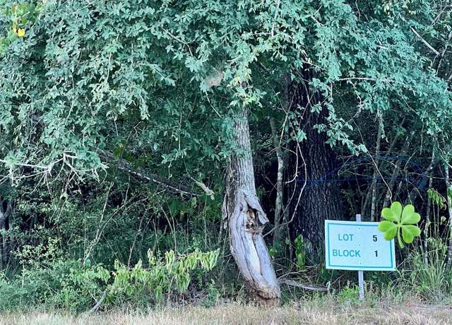 Property at 15812 Republic Ranch Rd N, Willis, TX 77378