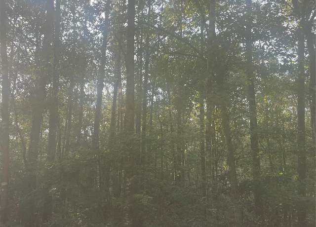 Property at 0 River Creek Dr, Cleveland, TX 77328