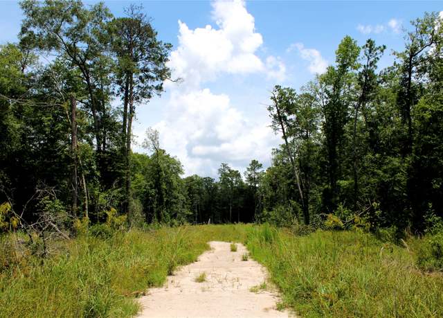 Property at 12425 Picos Rd, Saratoga, TX 77585