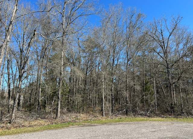 Property at 1.24 ac Circle 5, Orange, TX 77632