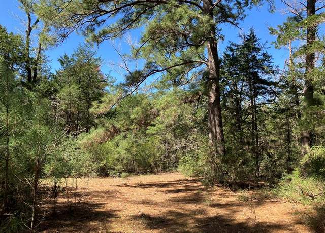 Property at 2764 County Road 278, Buffalo, TX 75831