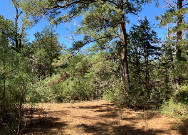Property at 2764 County Road 278, Buffalo, TX 75831