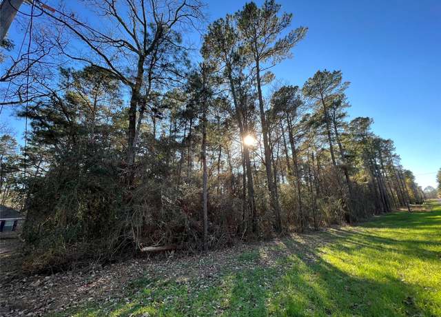 Property at 290 Greenbriar Dr, Magnolia, TX 77355
