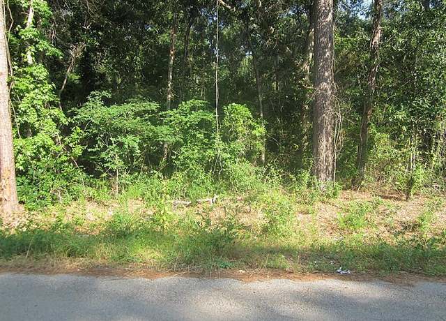 Property at 31127 Primrose Ln, Magnolia, TX 77354