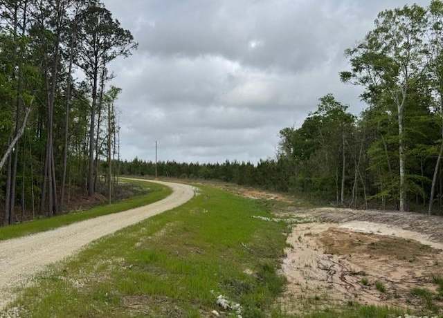 Property at TBD Blackjack Rd, Tract 49, Livingston, TX 77351