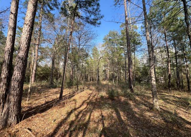 Property at 3-17-3B Winchester Rd, Huntsville, TX 77340