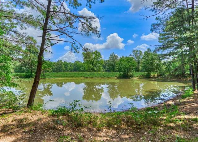 Property at Tract B Sharp View Rd, Montgomery, TX 77356