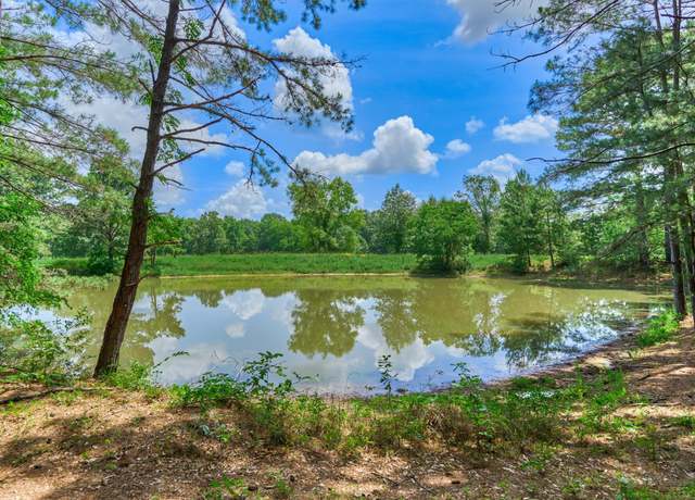 Property at Tract B Sharp View Rd, Montgomery, TX 77356