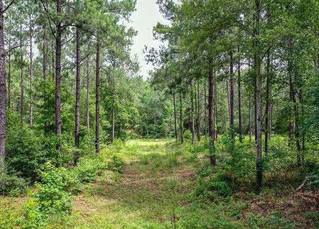 Property at 15.573 Ac CR 1050, Crockett, TX 75835