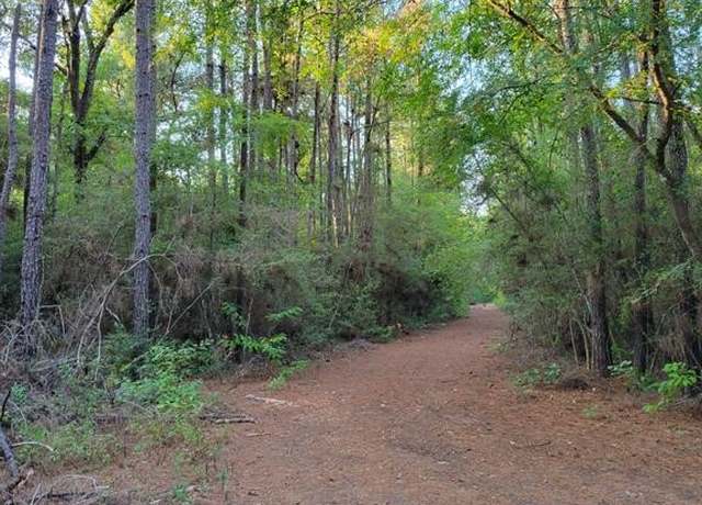 Property at TBD Honeylocust Ln, Plantersville, TX 77363