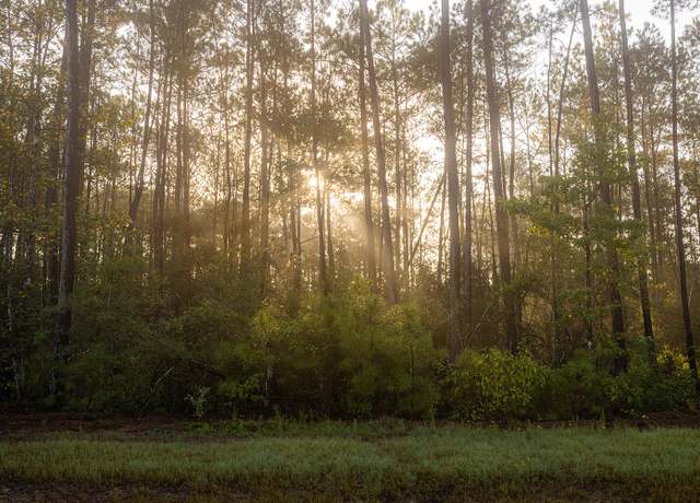 Property at 16109 Goodride Rd, Willis, TX 77378