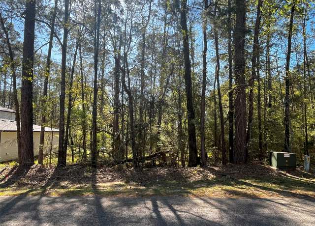 Property at 19 Green Tree Dr, Coldspring, TX 77331