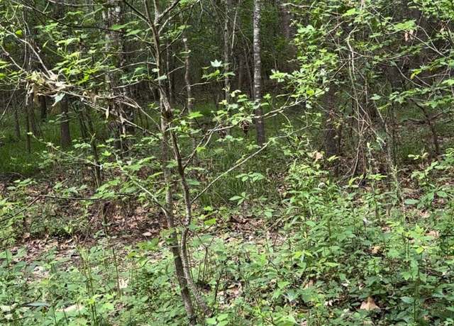 Property at TBD South Moody Ln, Cleveland, TX 77328