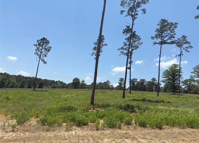 Property at 0 Addison Rd, Livingston, TX 77351