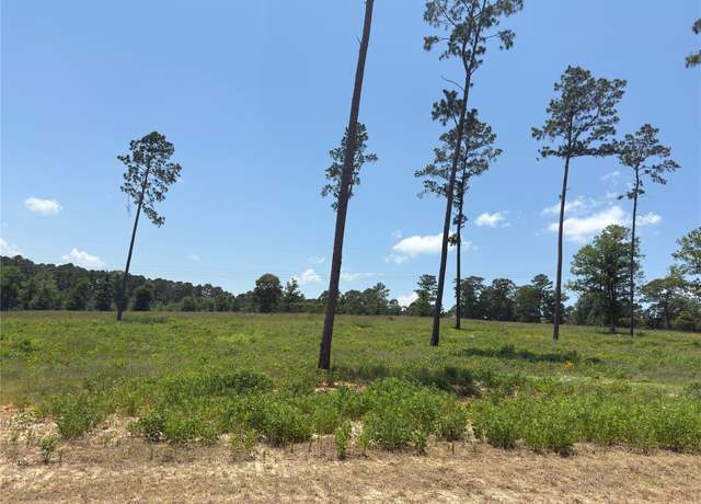 Property at 0 Addison Rd, Livingston, TX 77351