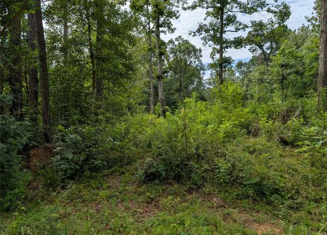 Property at 161 Ludies Dr, Livingston, TX 77351