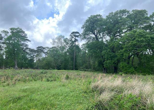 Property at 000 N Mlk Dr, Ames, TX 77575