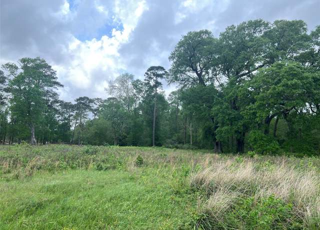 Property at 000 N Mlk Dr, Ames, TX 77575