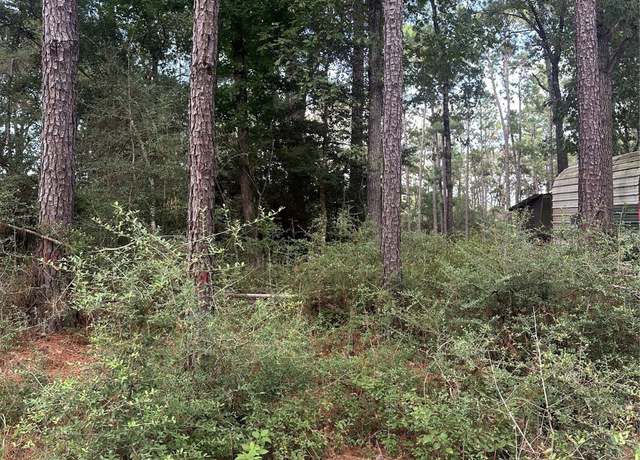 Property at 0 Little Ponderosa Dr, Onalaska, TX 77360