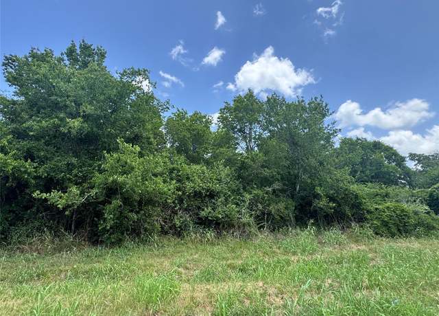 Property at TBD Caldwell St, Paige, TX 78659