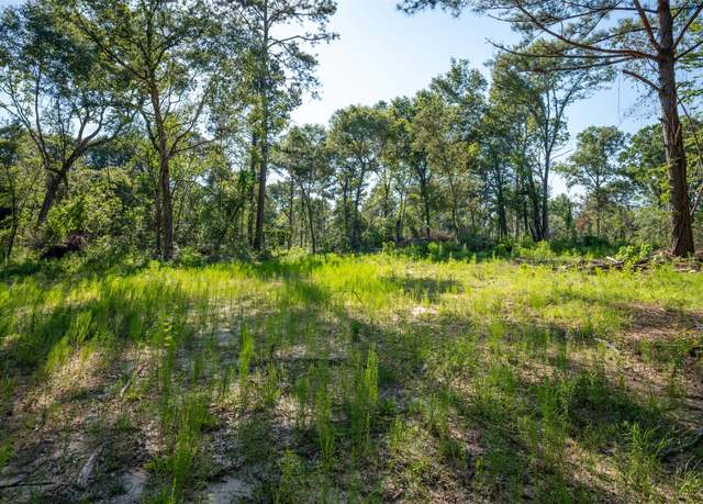 Property at tbd Cr  3000, Woodville, TX 75979