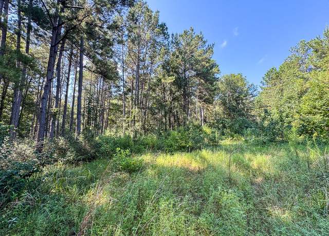 Property at 00 Fluorite Ct, Huntsville, TX 77340