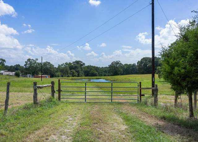 Property at 12151 State Highway 75 N, Buffalo, TX 75831, 6 beds
