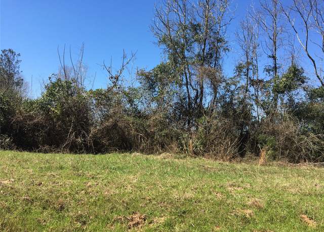 Property at 0 County Road 175, Garrison, TX 75946