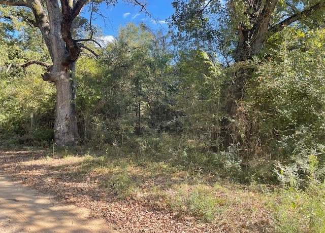 Property at TBD Parcel 11670, Lovelady, TX 75851