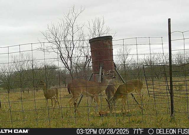 Property at 851 County Road 450, De Leon, TX 76444